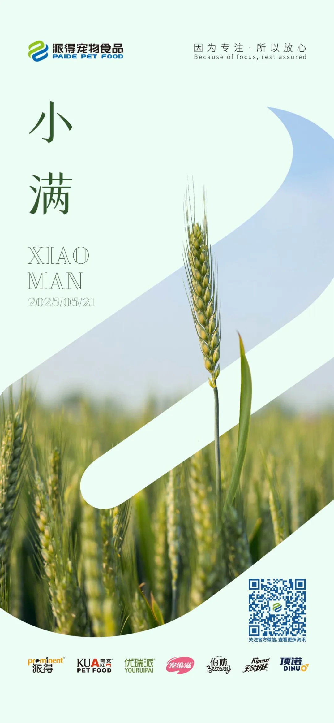 派得宠物